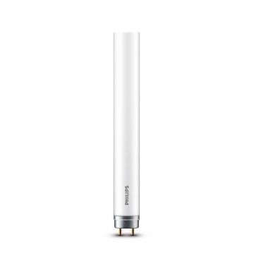 Philips Led TL buis | 60 cm | T8 | 6500K | 800 lumen | 8W