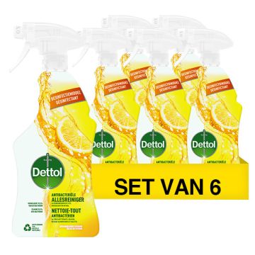 Aanbieding: Dettol Trigger Allesreiniger Citrus (12 flessen - 750 ml)