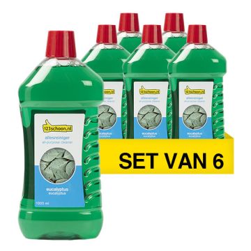 Aanbieding: 6x Allesreiniger Eucalyptus 1 liter (123schoon huismerk)