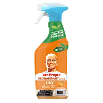 Mr. Proper allesreiniger spray & ontvetter mandarijn (500 ml)