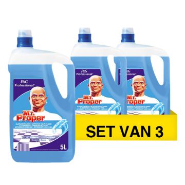 Aanbieding: Mr. Proper Professional Allesreiniger Oceaan (3 flessen - 5 L)