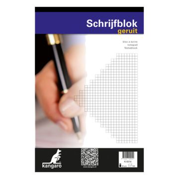 Schrijfblok A4 ruit 60g 100v/pk5