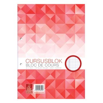 Cursusblok Work A4 ruit 70g